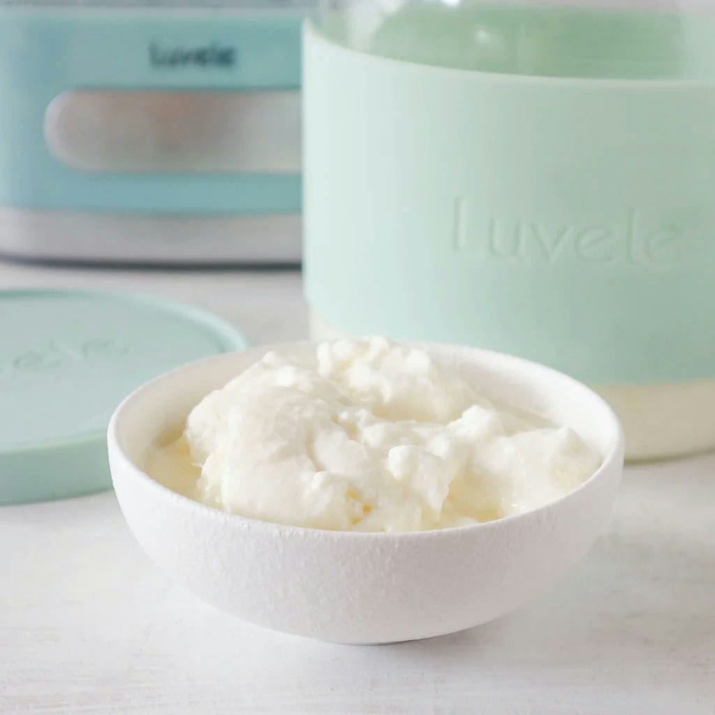 Trend Report: L.  Reuteri Yogurt